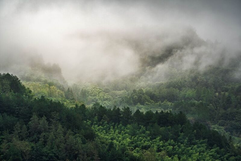 Утро в Чжанцзяцзе… Morning in Zhangjiajie...photo preview