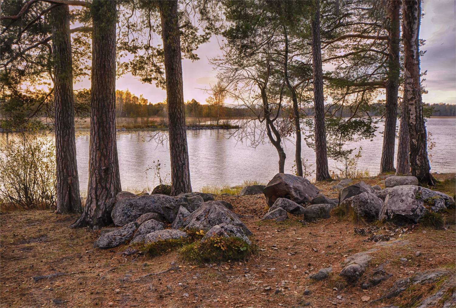 деревья камни озеро, Вера Петри