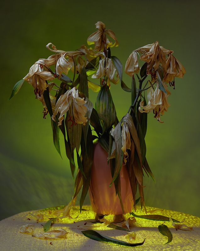 * фото превью