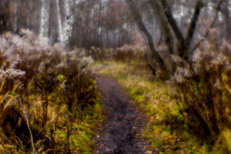 Раскисшие тропинкиphoto preview