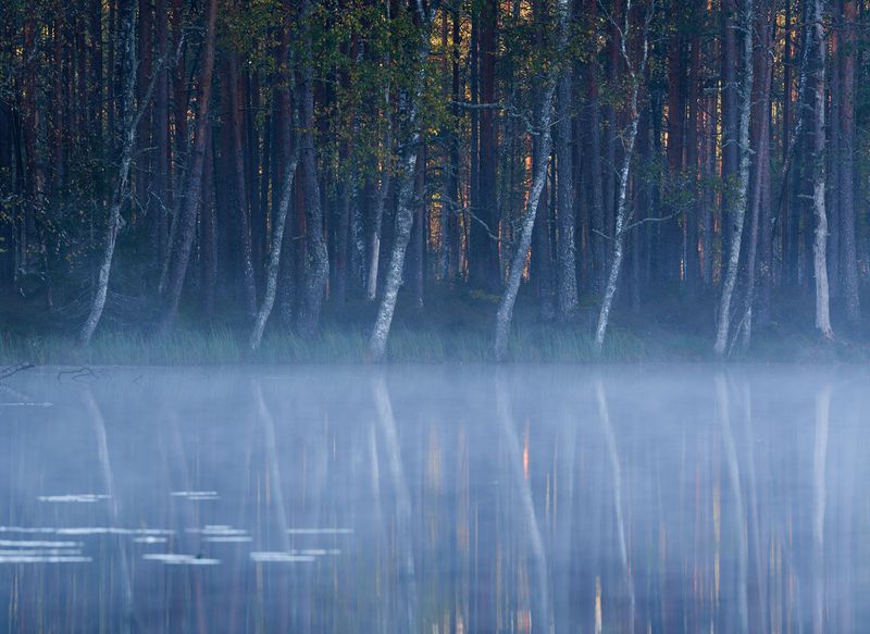По наклонной фото превью