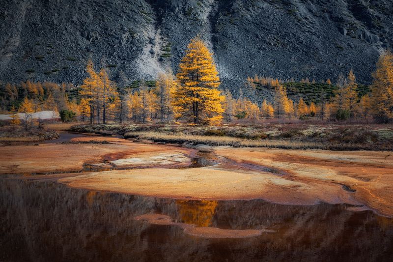 Озеро_Юг пейзажи_Колымы Магаданская_область Колымские_пляжи горная_система_Черского отражения хребет_Оханджа Золото колымских лиственницphoto preview