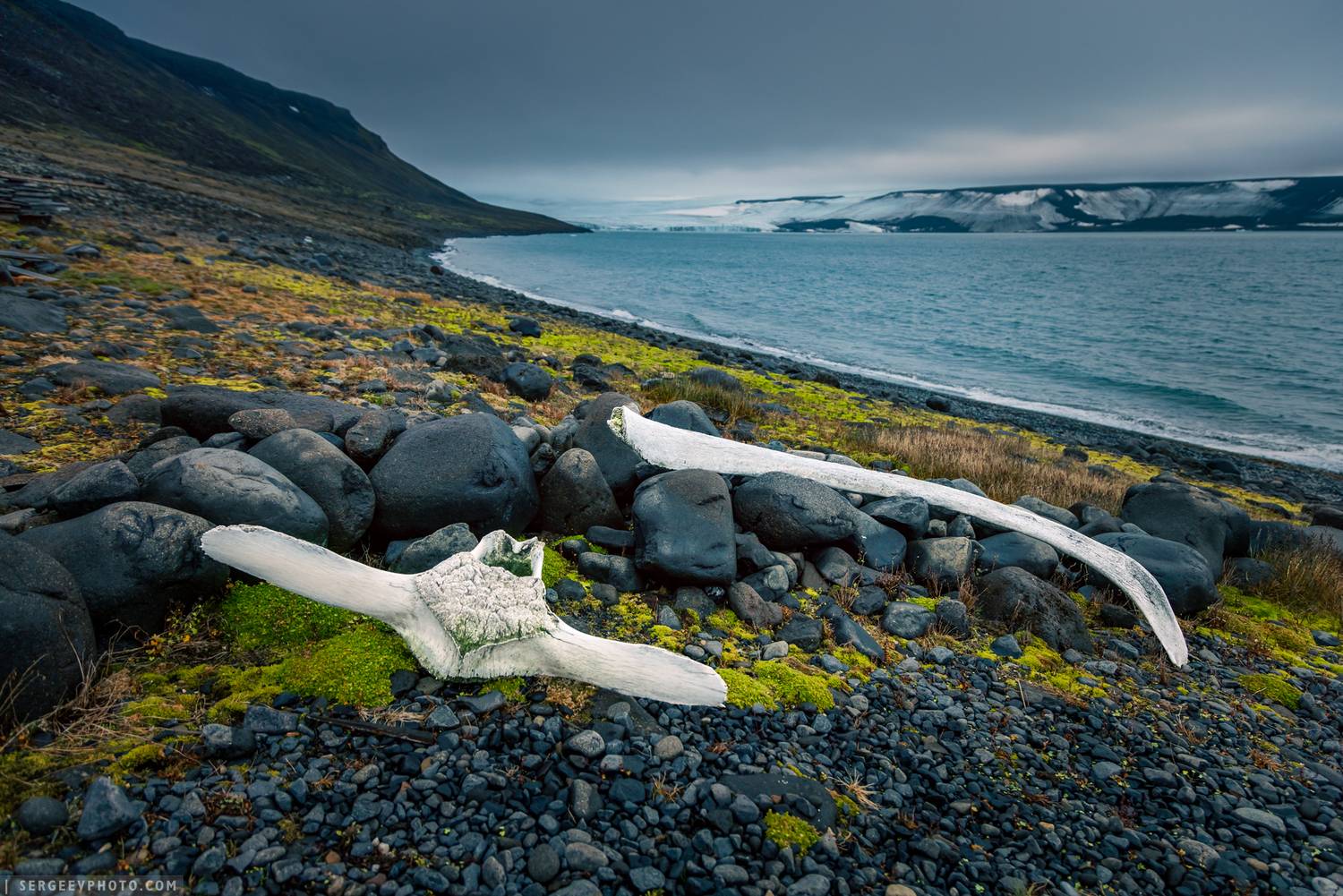земля франца-иосифа, баренцево море, арктика, север, северный ледовитый океан, архангельская область, бухта тихая, остров, кит, лёд, franz josef land, arctic, north, barents sea, island, whale, ice, glacier, arctic ocean, Сергеев Кирилл