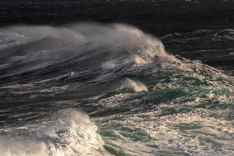 Характер Северного моряphoto preview