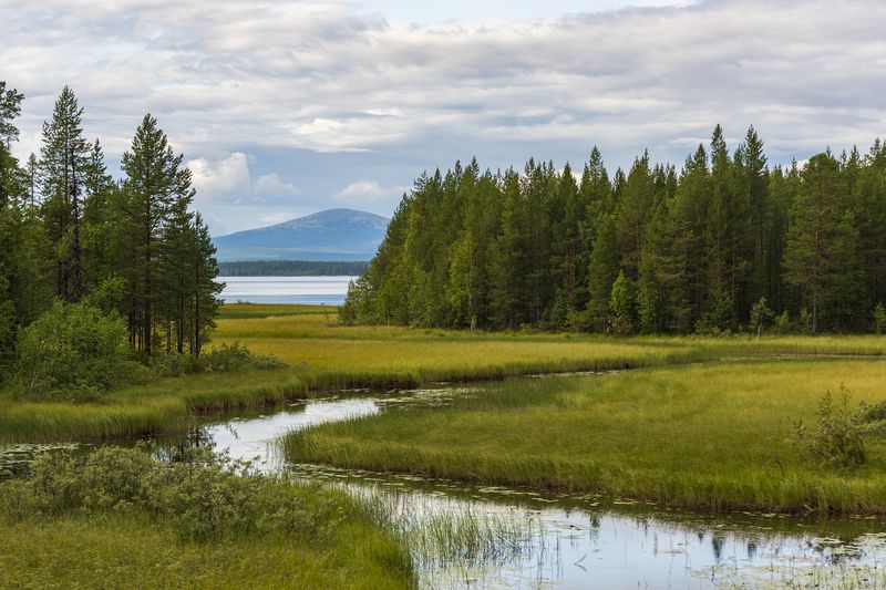 Река Вересphoto preview