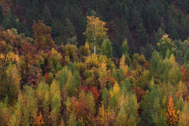 Жигулевские горыphoto preview