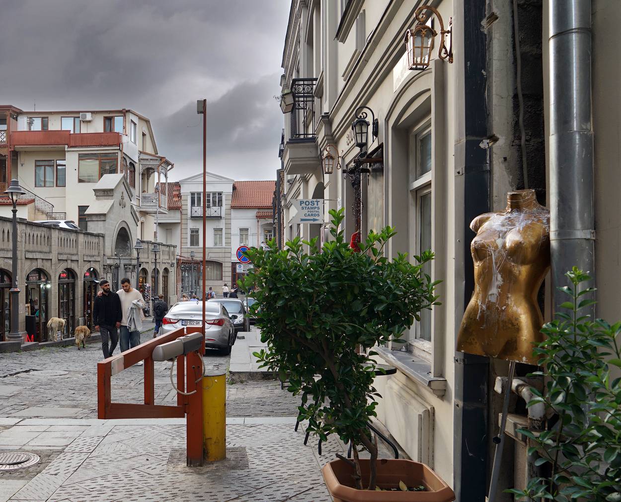 , Новикова Ольга