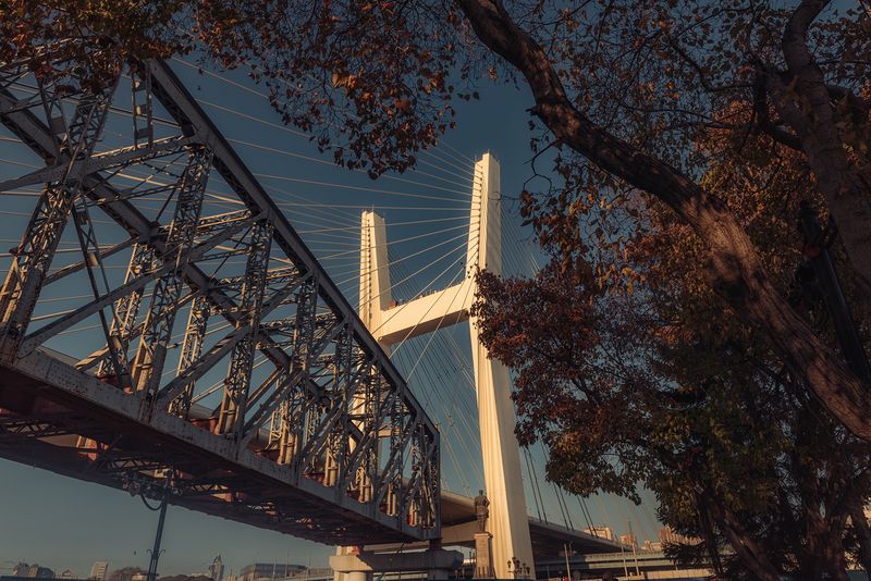 Новосибирск набережная мосты фото превью