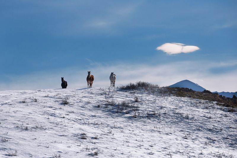 кыргызстан, урочище чункурчак Картины ноябряphoto preview