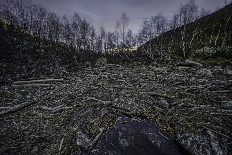 Россия, Карачаево-Черкессия, Домбай, Тебердинский заповедник, Бадукские озера Бадукские озераphoto preview