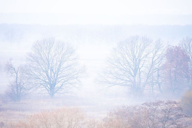 Туманный рассвет фото превью