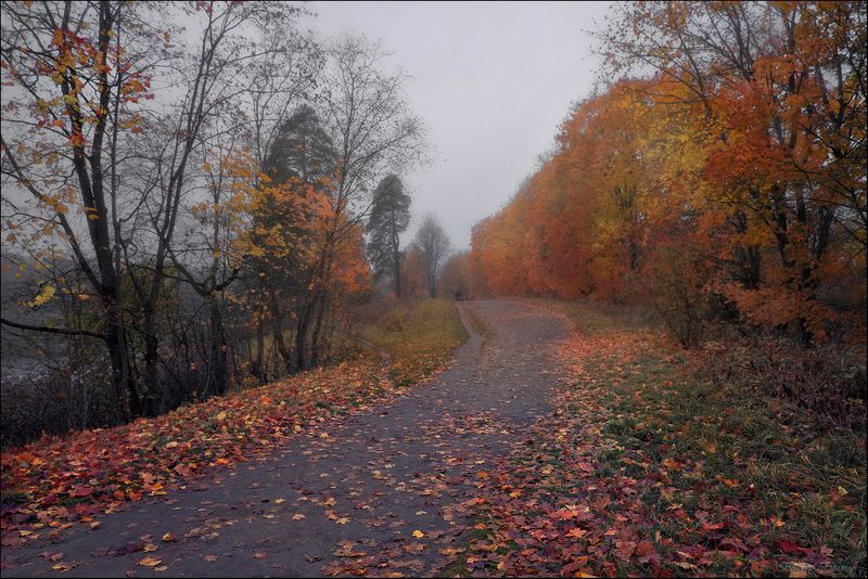 Красный октябрьphoto preview