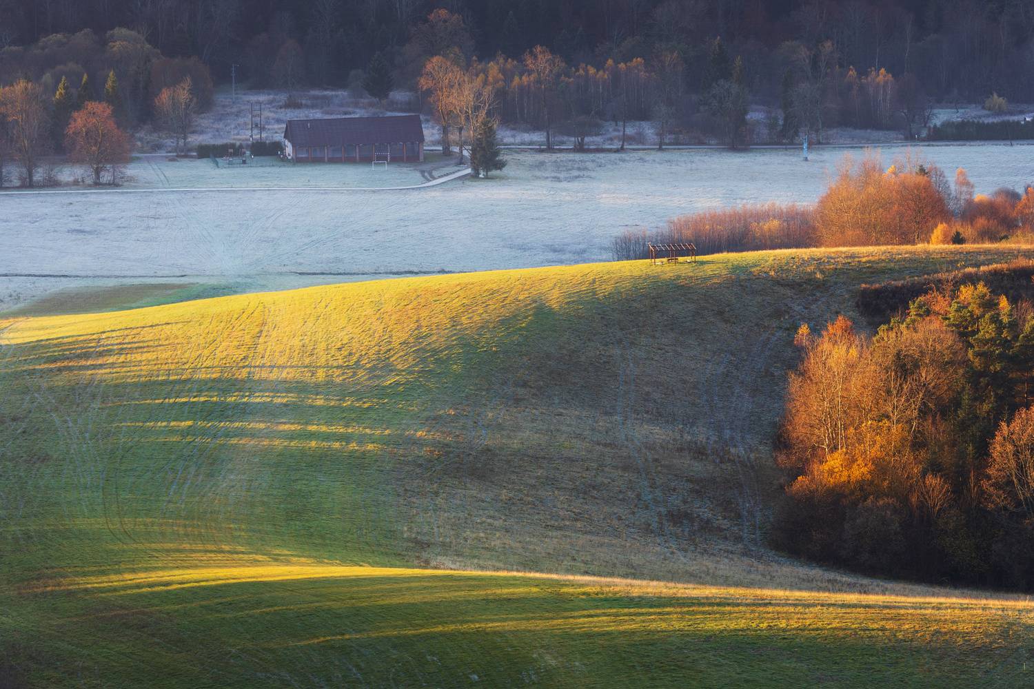 ,  Mirosław Pruchnicki