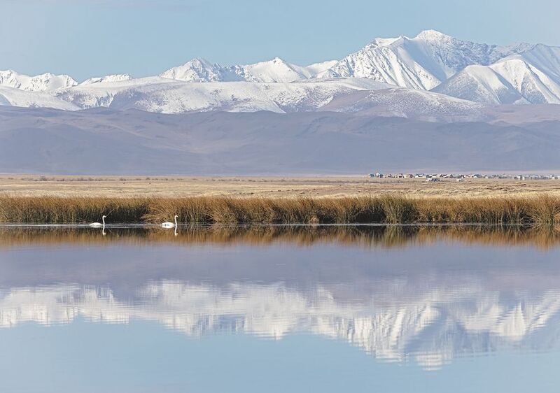 неразлучная пара... Алтай осенью.. фото превью