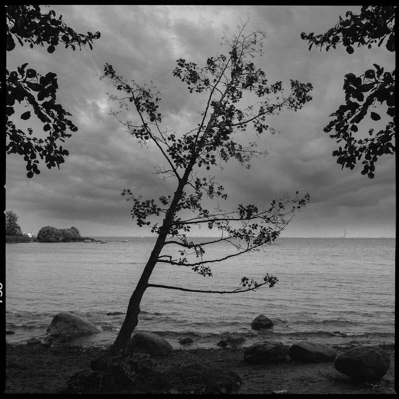 пейзаж, город, санкт петербург, чб, черно белое, репортаж, петергоф Осень....photo preview