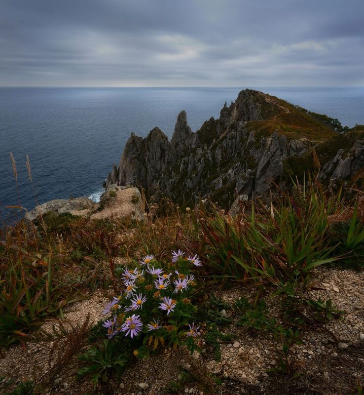 приморье Мыс Лисученко.photo preview