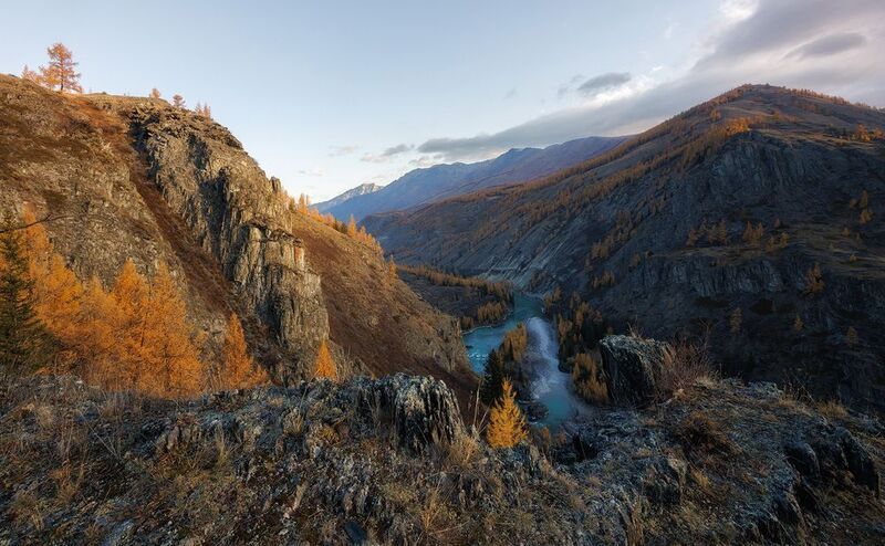 Аргут фото превью