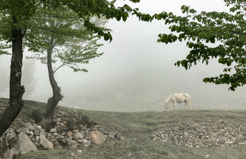 В горах Дагестана фото превью