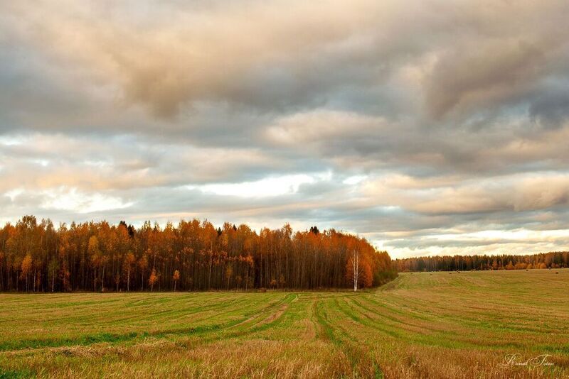 Костромской крайphoto preview
