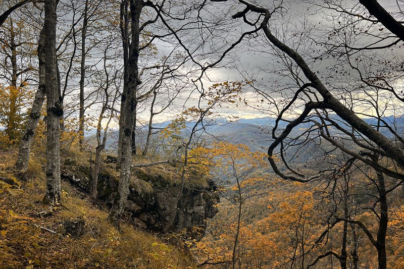 Осень в горахphoto preview