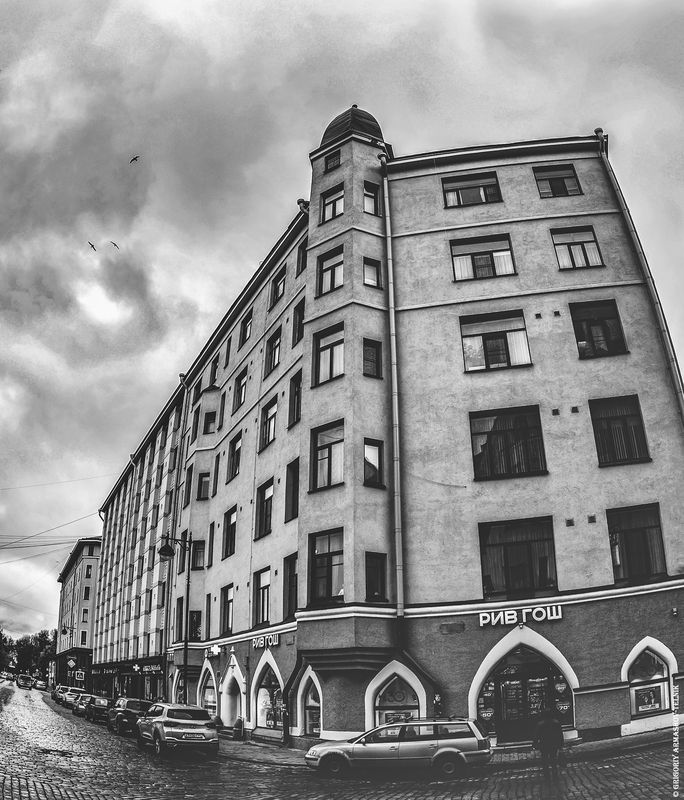 Выборг, город, монохром, лестница, улитки, завитки, архитектура Завитки фото превью