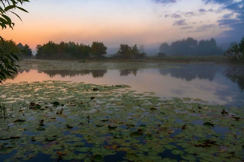 сентябрь утро озеро туман облака природа пейзаж На рассвете.photo preview