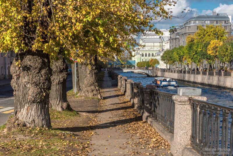 город, архитектура, городской пейзаж, санкт - петербург, набережная крюкова канала, крюков канал, старые городские деревья, золотая осень, осенний петербург Осенний Крюков каналphoto preview