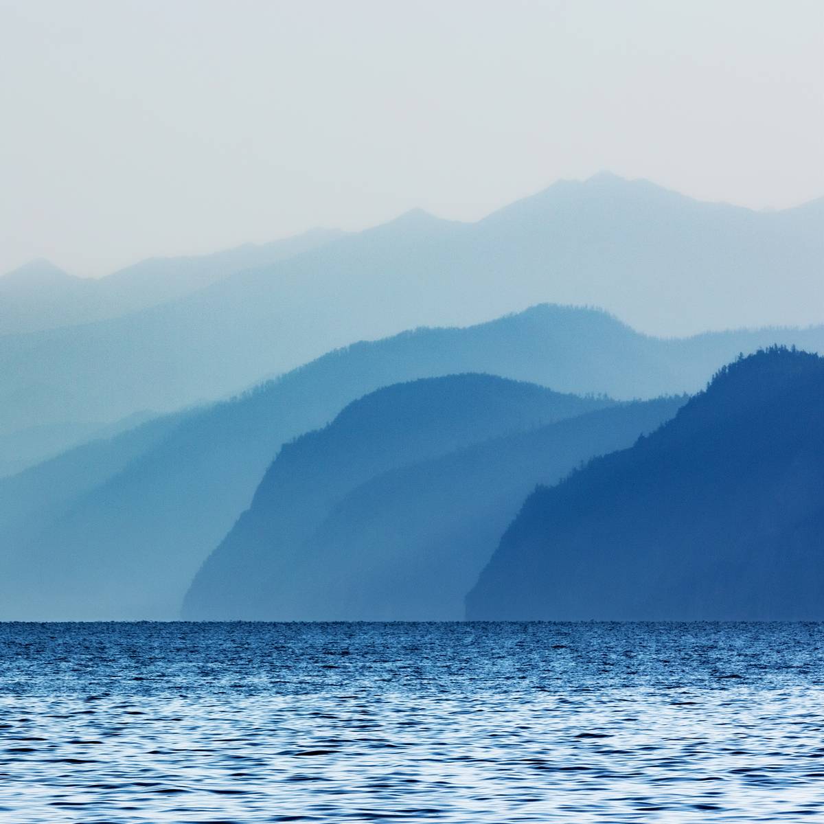 , Трофимов Алексей