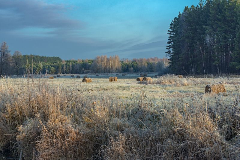 утро туман пойма речка суворощь валки лес дудкино Маленькие радости поздней осениphoto preview