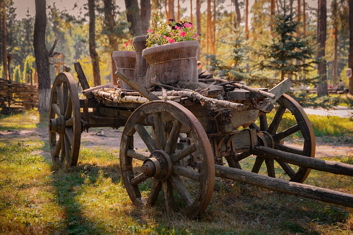 , Владимир Ноздрачев