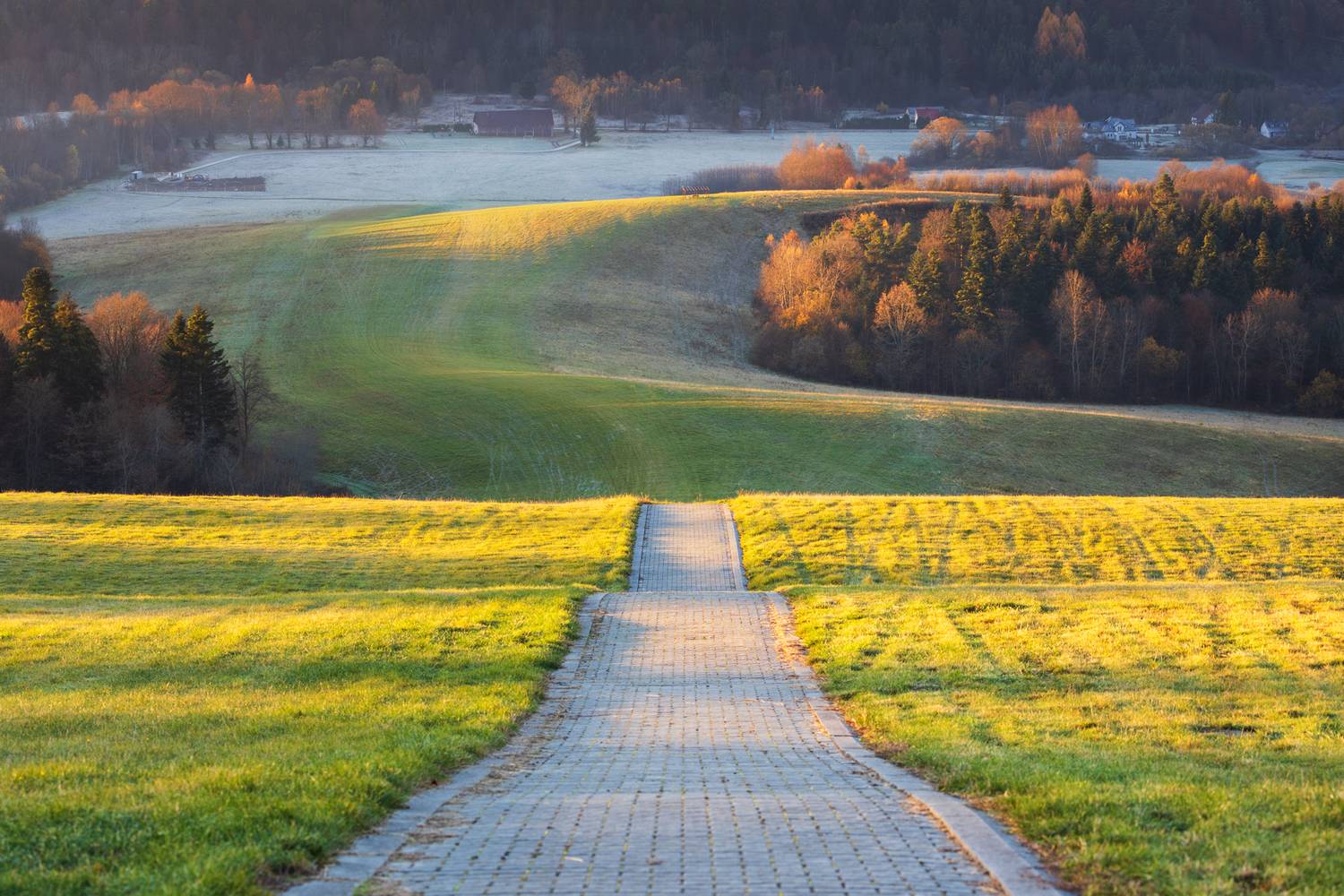 Автор: Mirosław Pruchnicki , Mirosław Pruchnicki