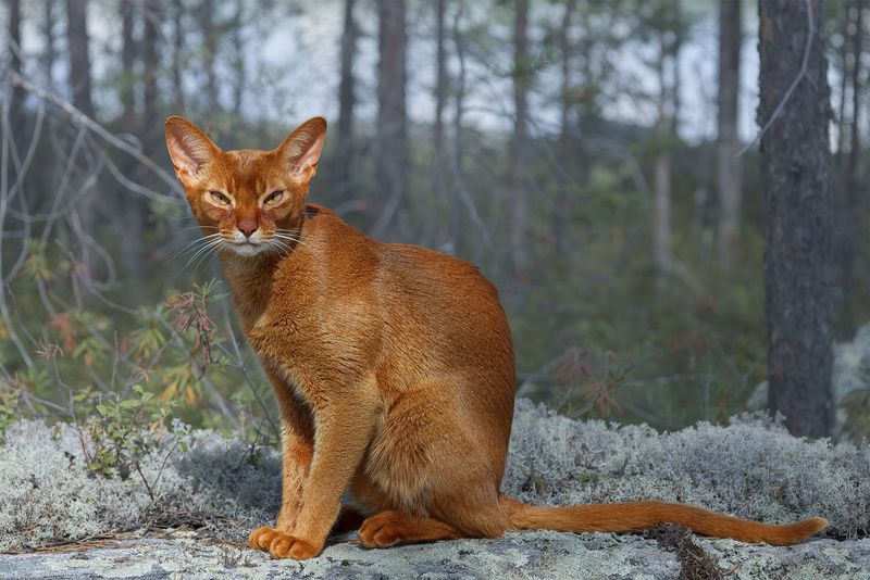 Отдых на охотеphoto preview