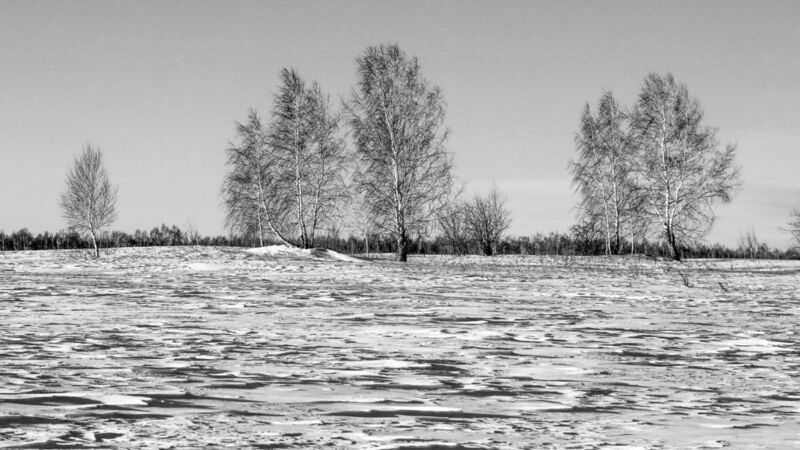 Зимняя графикаphoto preview