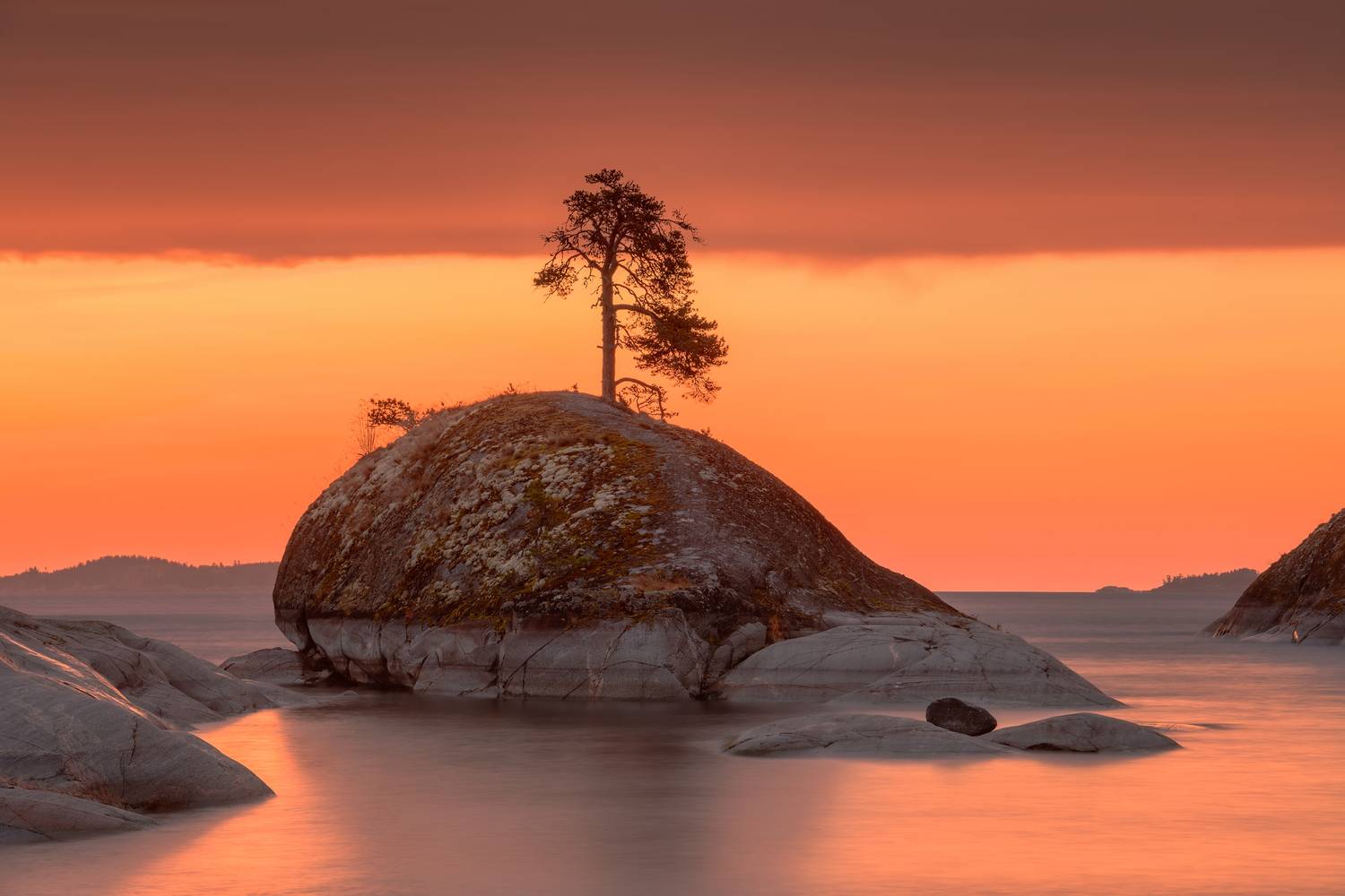 ладога, Евдокимов Максим