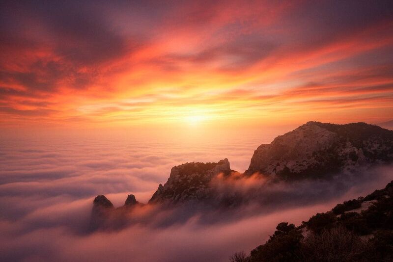 крым, новый свет, туман, закат, горы, деревья когда горы спятphoto preview