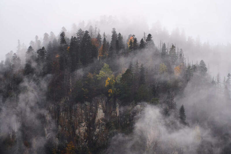 Домбай Лесphoto preview