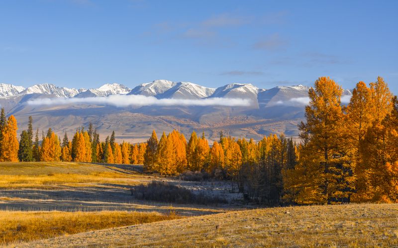 россия, горный алтай,осень,утро Осень на Алтаеphoto preview