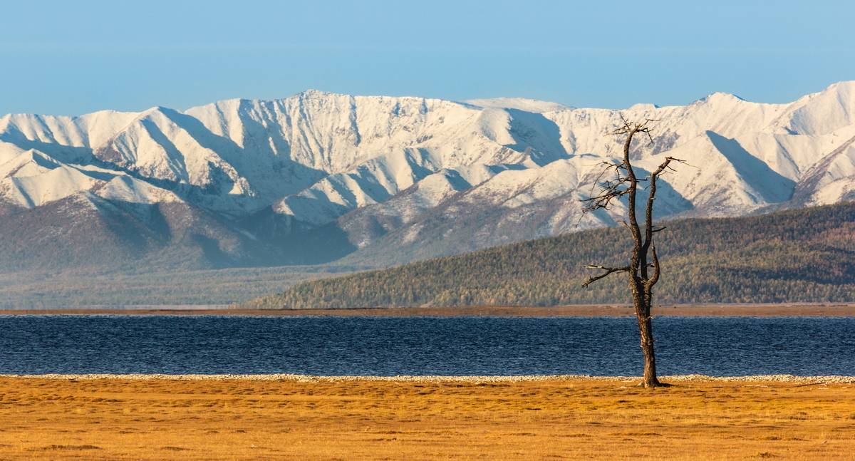 , Трофимов Алексей