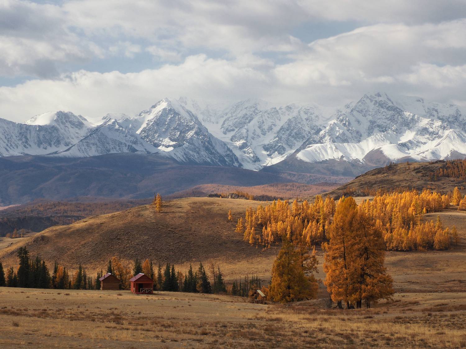 Северо-Чуйский хребет, Курай, Республика Алтай, Галина Хвостенко
