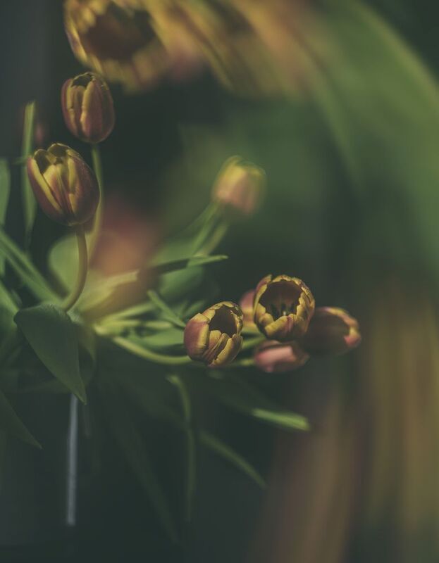 Ноябрьскиеphoto preview