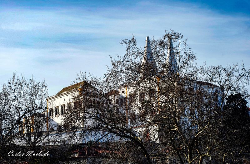 Nature, Palaces, Landscapes National Palace of Sintraphoto preview