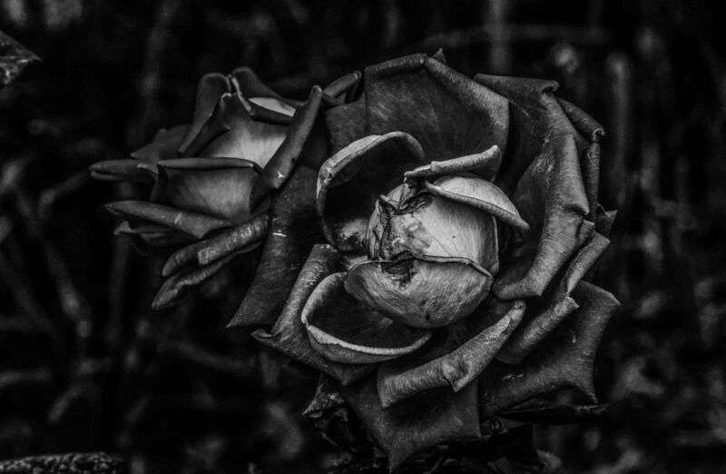 Ч/Б..photo preview