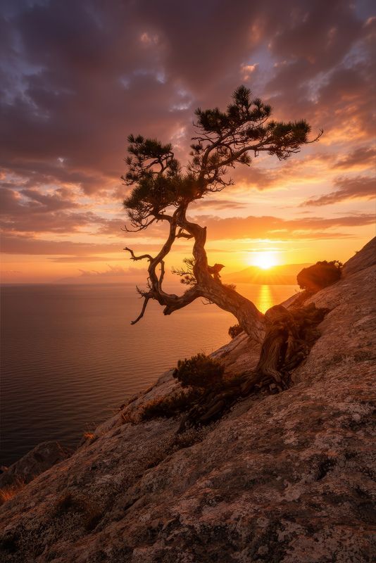 пик Космос, Новый Светphoto preview