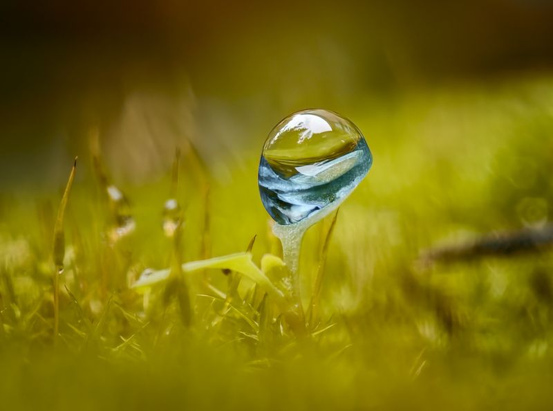 макро,смартфон,виво 200про,капля невесомость фото превью