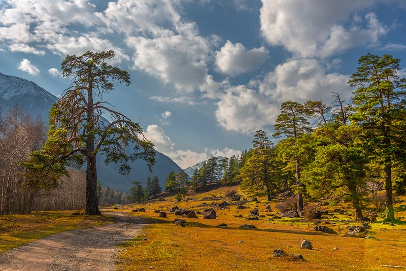 Ущелье Аксаут.КЧР.photo preview