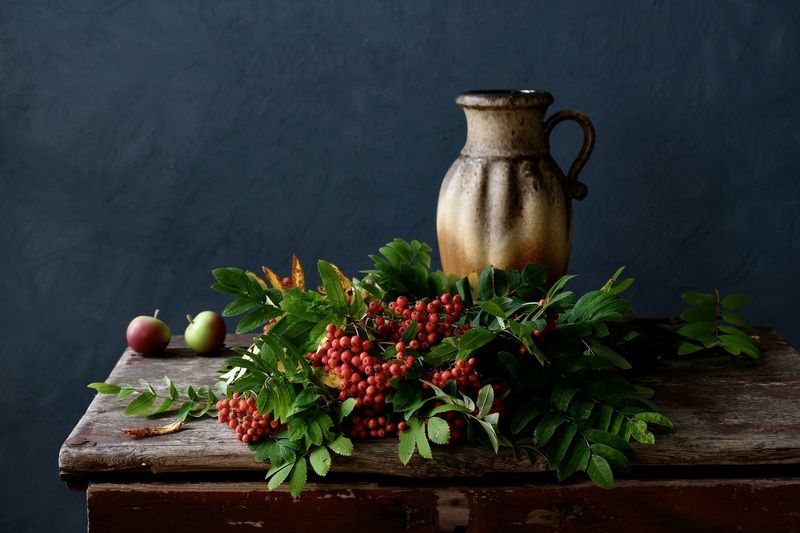 Still life, Rowan, Apples, Autumn, Colorful, Mood,  Рябина и яблочкиphoto preview