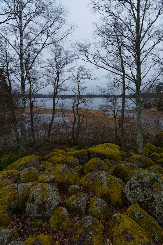 Тишинаphoto preview