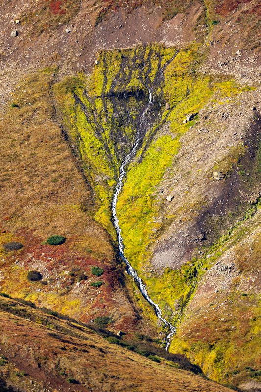 водопад, камчатка, горы, вода Дерево жизни..photo preview