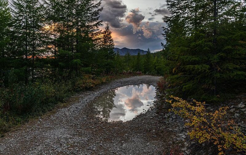 Лес, вечер, закат, осень, отражение Зеркальцеphoto preview