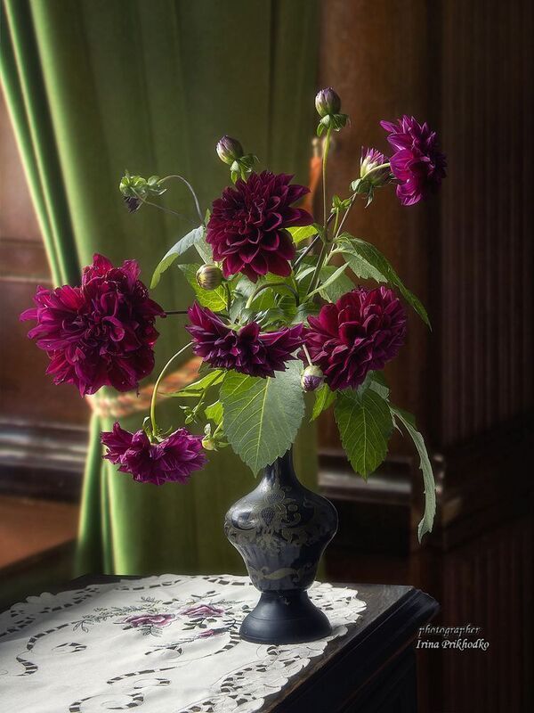 натюрморт, цветы, георгины, букеты, интерьер Осенние георгиныphoto preview